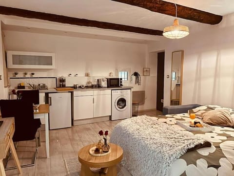 Studio Oasis de paix centre Aix en Provence Apartment in Aix-en-Provence