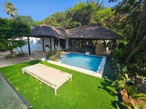 Patio, Garden, Garden view