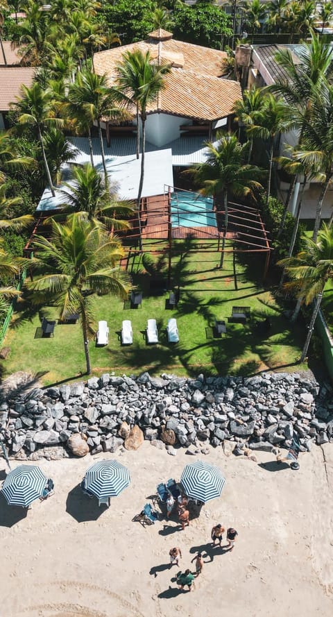 Spring, Day, People, Natural landscape, Garden, Garden view, Pool view, Swimming pool, group of guests, sunbed