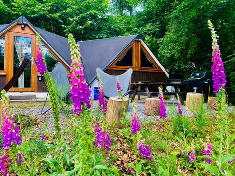 Chambre avec jacuzzi ou Chalets dans les bois Bed and Breakfast in Wallonia, Belgium