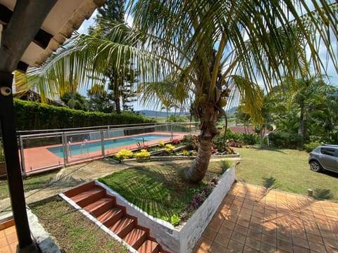 Garden view