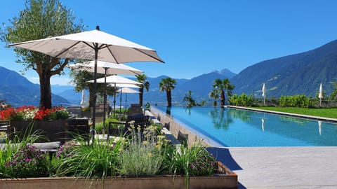 Garden, Swimming pool