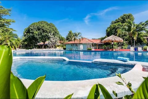 Garden, Pool view, Swimming pool