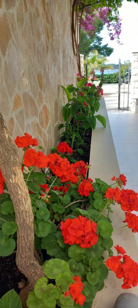 Villa Malisko Apartment in Hvar