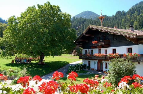 Property building, Day