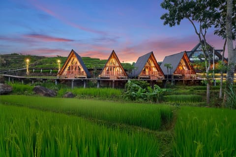 Property building, Natural landscape