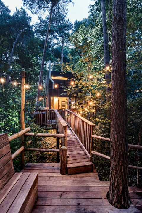Property building, Natural landscape, Garden, Garden view