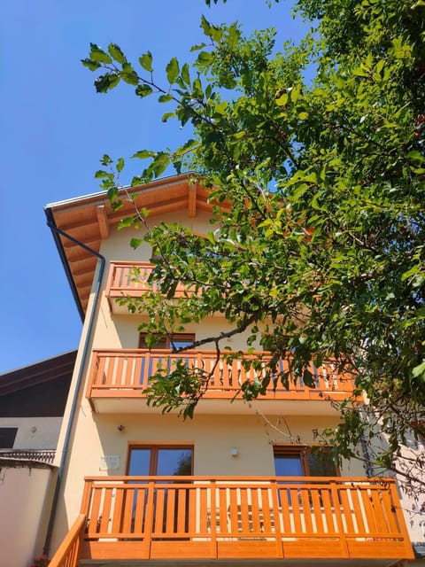 Le Nene - Dolomiti guesthouse Bed and Breakfast in Friuli-Venezia Giulia