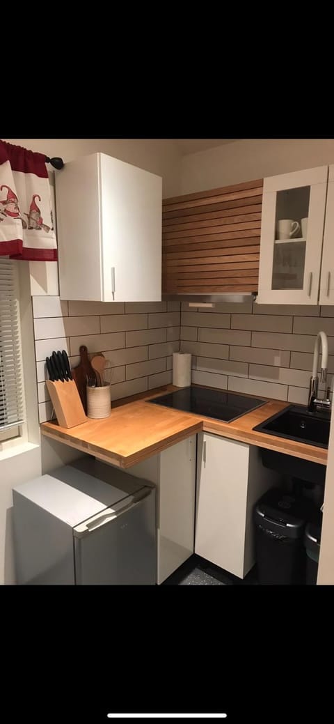 Tromsø Aurora centrum apartment Apartment in Tromso