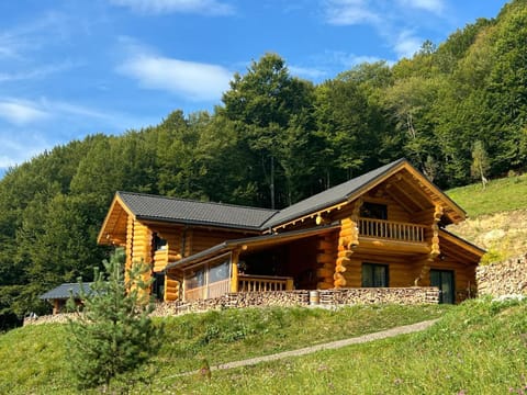 Property building, Spring, Day, Natural landscape