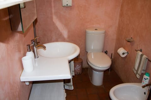 Shower, Bathroom, bidet