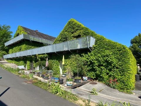 Property building, Summer, Garden, Garden view
