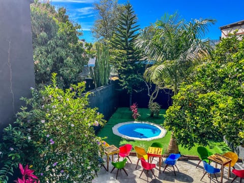 Spring, Day, Natural landscape, Garden, Garden view, Pool view, Swimming pool, Swimming pool