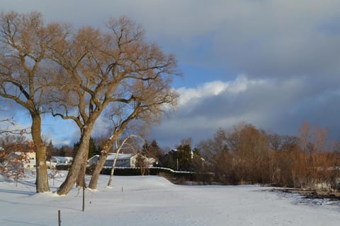 Front Cottage "Green Shutter" House in Suttons Bay