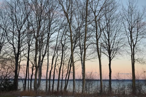Barefootin on M22 House in Glen Arbor