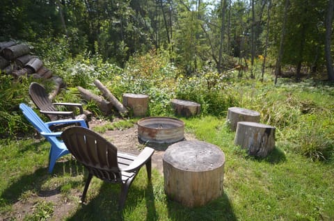 Barefootin on M22 House in Glen Arbor