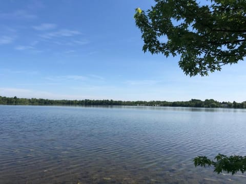 The Dragonfly House in Elk Rapids