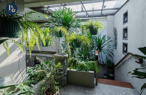 Property building, Day, Garden