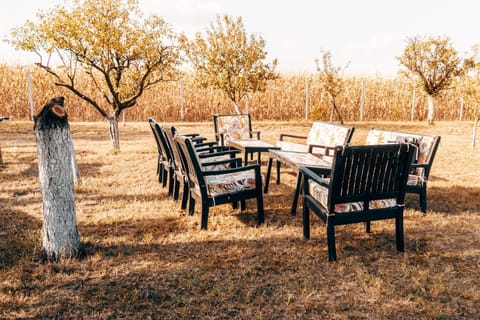 Ranč Elena House in Vojvodina