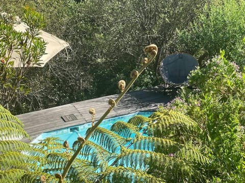 Natural landscape, Garden view, Swimming pool