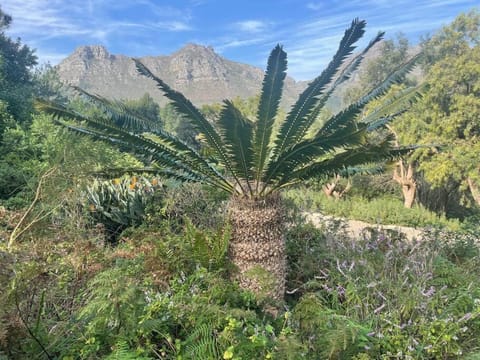 Day, Natural landscape, Garden