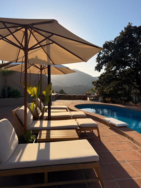 Balcony/Terrace, Lounge or bar, Swimming pool, sunbed