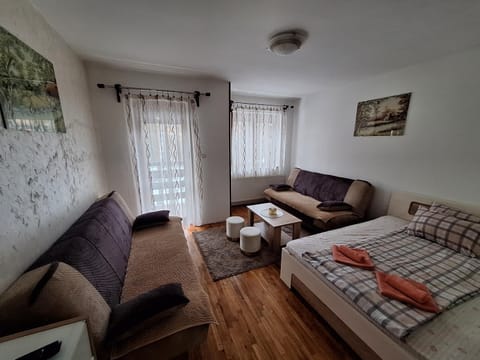 Apartman Adzic centar Apartment in Zlatibor