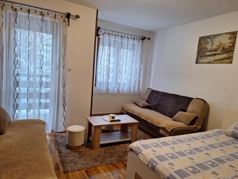 Apartman Adzic centar Apartment in Zlatibor