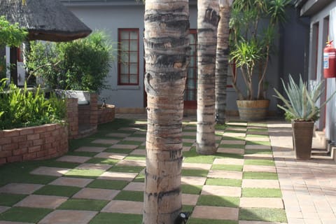 Day, Garden, Garden view