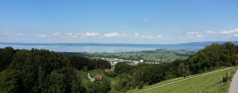 Lake view