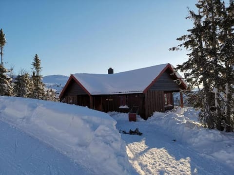 Property building, Winter
