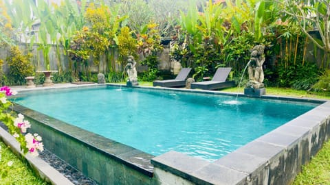 Day, Garden, Swimming pool