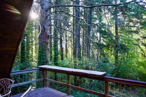 Cozy Portland A-Frame Cabin Cabin in Tigard