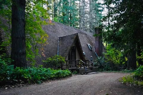 Cozy Portland A-Frame Cabin Cabin in Tigard