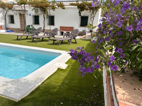 Patio, Garden, Garden view, Pool view, Swimming pool, sunbed