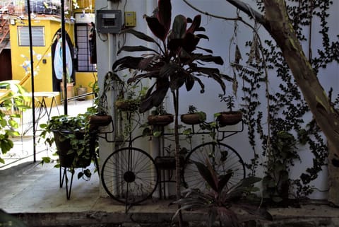 Yellow flat-estudio Oaxaca Centro Apartment in Oaxaca