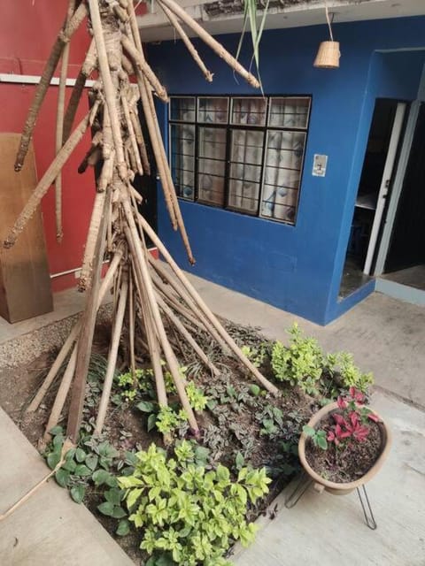 The azul flat room Apartment in Oaxaca