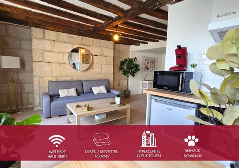 L'Immersion Tourangelle Apartment in Tours