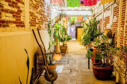 The Green Loft, Oaxaca Centro Apartment in Oaxaca