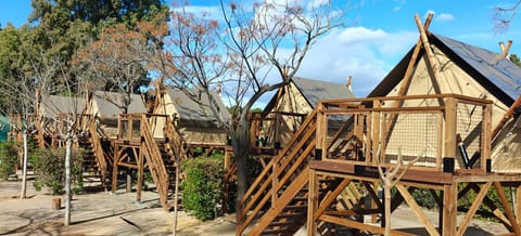 Natural landscape, Area and facilities