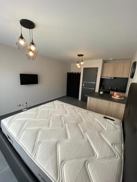 Superbe studio avec terrasse Apartment in Haute-Savoie