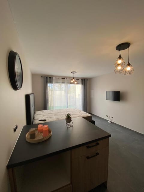 Superbe studio avec terrasse Apartment in Haute-Savoie