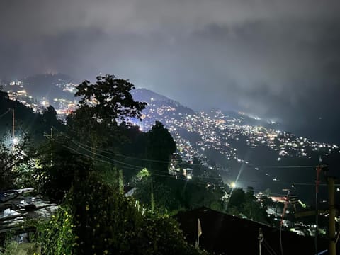 Night