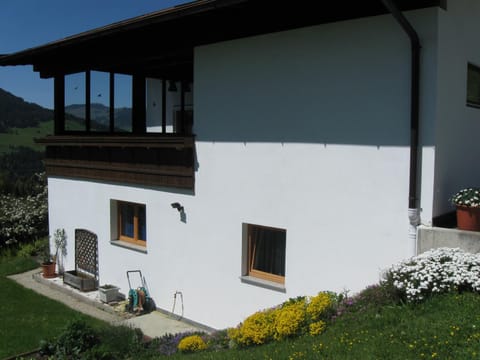 Property building, Day