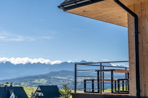 Natural landscape, View (from property/room), Balcony/Terrace, Mountain view