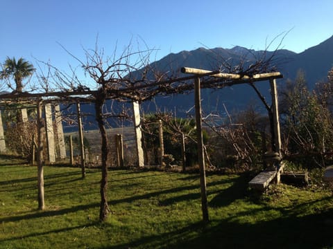 Garden, Garden view