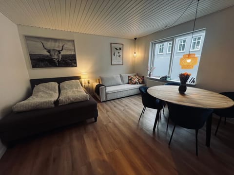 Cozy Flats Silkeborg - S2 Apartment in Central Denmark Region