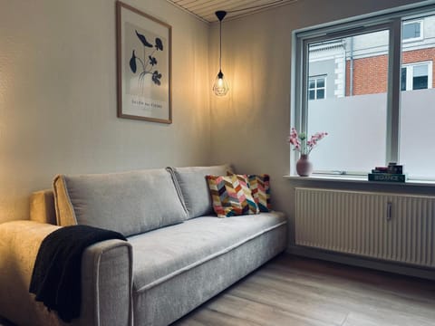 Cozy Flats Silkeborg - S2 Apartment in Central Denmark Region