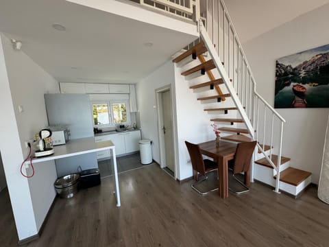 Beautiful houseboat on the Sava river Docked boat in Belgrade