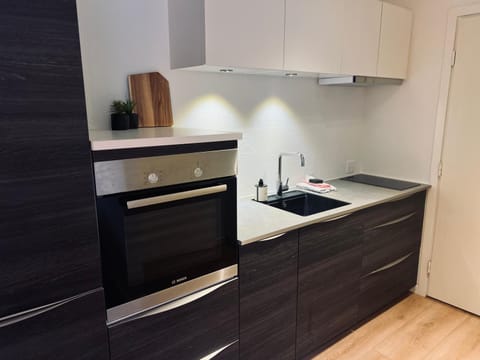 Kitchen or kitchenette, stove, kitchen